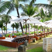 Ocean Patio